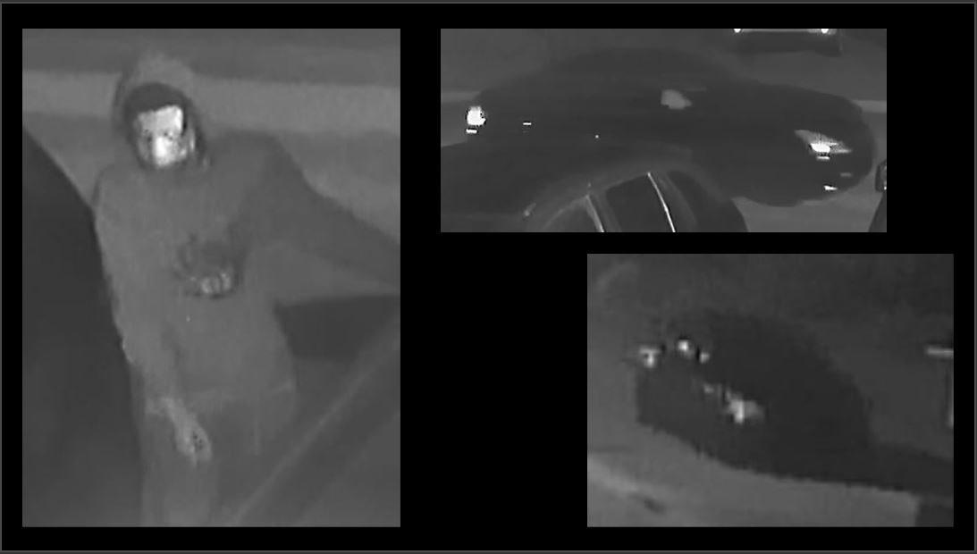 suspect and vehicle