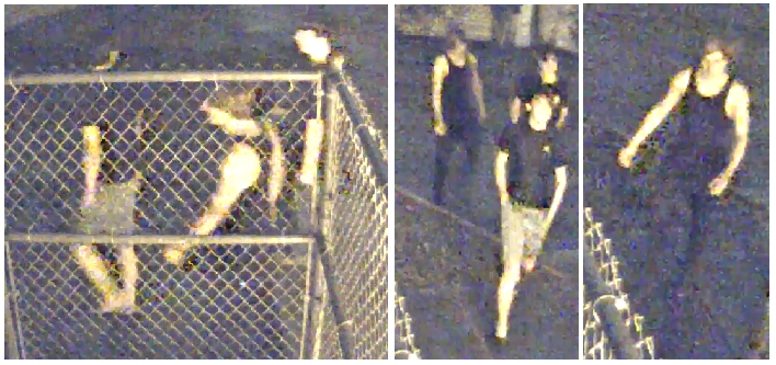 Highlands Elementary suspects