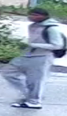 West Ridge bike theft2